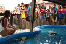 Cear&aacute;