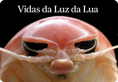 Exposi&ccedil;&atilde;o vidas da Luz da Lua